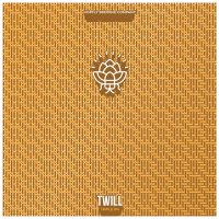 Пиво Twill