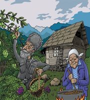 Пиво Асызбал из алычи