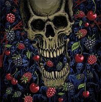 Пиво Fruit Demon 