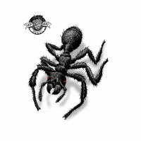 Пиво Инсектофобия/ Entomophobia Пиво Инсектофобия/ Entomophobia