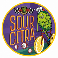 Пиво Sour Citra Пиво Sour Citra