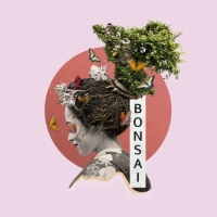 Пиво Bonsai Пиво Bonsai