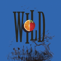 Пиво Wild Safari Morango e Tangerina Пиво Wild Safari Morango e Tangerina