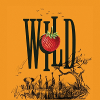 Пиво Wild Safari Morango Пиво Wild Safari Morango
