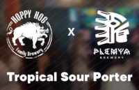 Пиво Tropical Sour Porter