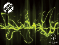 Пиво Can I Kick It ?