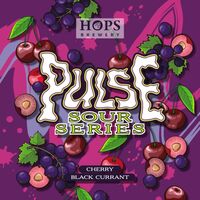 Пиво Pulse. Cherry Black Currant