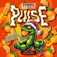 Пиво Pulse. New Year Mandarin