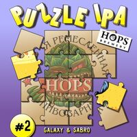 Пиво Puzzle IPA: Galaxy & Sabro