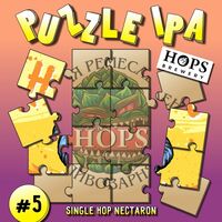 Пиво Puzzle IPA: Nectaron Single Hop