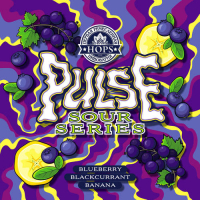 Пиво Pulse.BlackCurrant BlueBerry Banana Пиво Pulse.BlackCurrant BlueBerry Banana