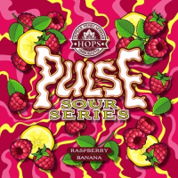 Пиво Pulse. Raspberry Banana