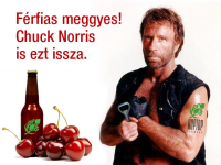 Пиво Wild Cherry Пиво Wild Cherry