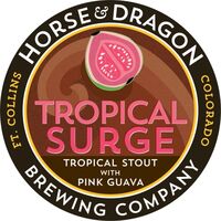 Пиво Tropical Surge Tropical Stout With Pink Guava Пиво Tropical Surge Tropical Stout With Pink Guava