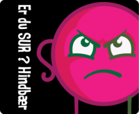 Пиво Er Du Sur ? Hindbær