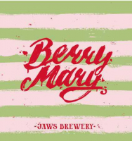 Пиво Berry Mary Cranberries (Клюква)