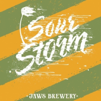 Пиво Sour Storm / Pineapple + Basil