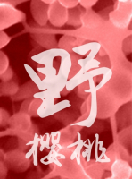 Пиво Yě (Cherry) (樱桃野)