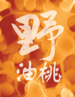 Пиво Yě (Nectarine)