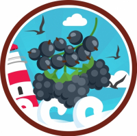 Пиво Art of Tart: Black Currant & Blackberry