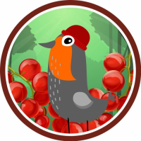 Пиво Robin In Da Red Currant