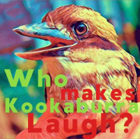 Пиво Who Makes Kookaburra Laugh?