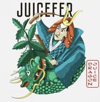 Пиво Dragon Juice