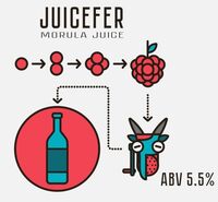Пиво Morula Juice