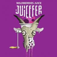 Пиво Wildberries Juice