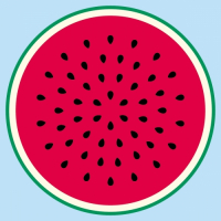 Пиво Kit And Whale