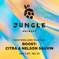 Пиво Boost: Citra & Nelson Sauvin