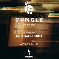 Пиво Critical Point