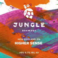 Пиво Higher Sense