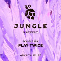 Пиво Play Twice