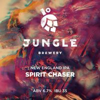 Пиво Spirit Chaser Пиво Spirit Chaser