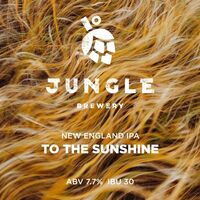 Пиво To The Sunshine