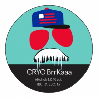 Пиво CRYO BrrKaaa Пиво CRYO BrrKaaa