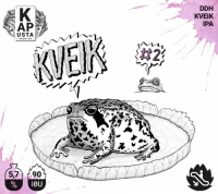 Пиво Kveik #2