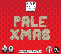 Пиво Pale Xmas