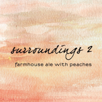 Пиво Kent Falls Surroundings 2