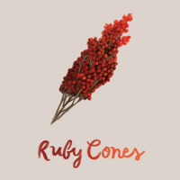 Пиво Ruby Cones