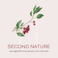 Пиво Second Nature: Cherry