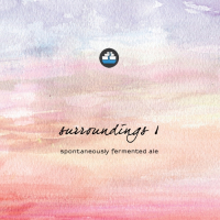 Пиво Surroundings 1