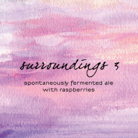 Пиво Surroundings 3
