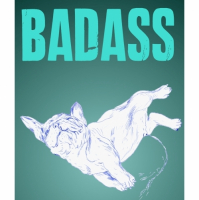 Пиво Badass Session IPA Пиво Badass Session IPA