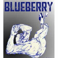 Пиво Blueberry Black IPA