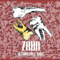 Пиво ZAHN Session Milk Stout