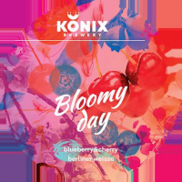 Пиво Bloomy Day Blueberry & Cherry Пиво Bloomy Day Blueberry & Cherry