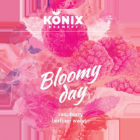 Пиво Bloomy Day Raspberry Пиво Bloomy Day Raspberry