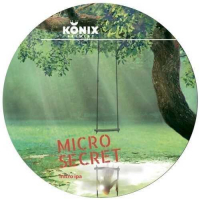 Пиво Micro Secret